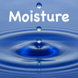 Moisture