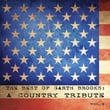 The Best Of Garth Brooks: A Country Tribute Vol. 2