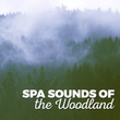 Spa Sounds of the Woodland