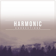 # Harmonic Connections