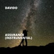 Assurance (Instrumental)