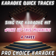 Karaoke Quick Tracks : Woke Up This Morning (karaoke Version)