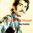 Eshghe Bi Hasel