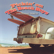 Pickin' On The Beach Boys: A Bluegrass Tribute
