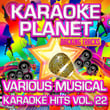Various Musical Karaoke Hits, Vol. 22