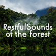 Restful Sounds of the Forest