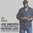 Promised Land (Ondagroove Remixes)