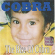 The Rise Of Cobra