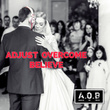 Adjust Overcome Believe