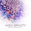 High Gravity