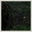 The Magdalene - Single