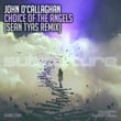 Choice of the Angels (Sean Tyas Remix)