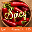 Spicy Latin Summer Hits