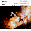 Roasting Marshmallows On The Campfire