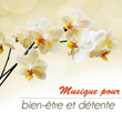 Musique pour le bien-être et la détente, chakra, sommeil profond, yoga, zen spa, et la méditation