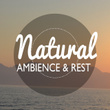 Natural Ambience & Rest