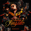 Amor Fingido