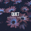 #Quiet Natural Ambience