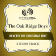 Beneath The Christmas Tree (studio Track)