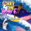 Sorry 4 the Wave