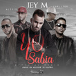 Yo sabía (feat. Alexis & Fido, De La Ghetto, Carlitos Rossy) [Official Remix]