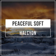 # Peaceful Soft Halcyon