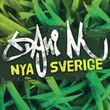 Nya Sverige