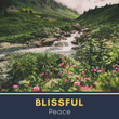 # 1 Album: Blissful Peace