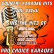Country Karaoke Hits, Vol. 197