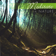 Meditate In Nature
