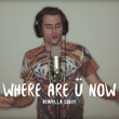 Where Are Ü Now