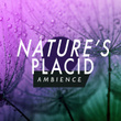 Nature's Placid Ambience