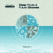 Deep Roots And Future Grooves