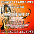 Country Karaoke Hits, Vol. 118