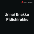 Unnai Enakku Pidichirukku