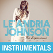 The Experience (instrumentals)