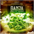 Ganja (feat. Shaggy) [The Germaicans Remix]