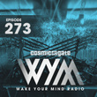 Wake Your Mind Radio 273