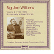 Big Joe Williams Vol. 2 1945 - 1949
