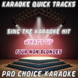Karaoke Quick Tracks : What's Up (karaoke Version)