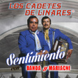 Sentimiento Con Banda y Mariachi