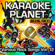 Various Rock Songs, Vol. 12
