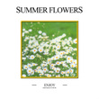 Summer Flowers