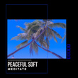 # 1 Album: Peaceful Soft Meditate