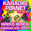 Various Musical Karaoke Hits, Vol. 13
