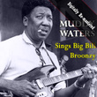 Sings Big Bill Broonzy (digitally Re-Mastered)