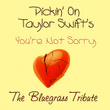 Pickin On Taylor Swift's You're Not Sorry