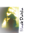 Black Dahlia