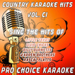 Country Karaoke Hits, Vol. 101