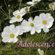 Adolescence